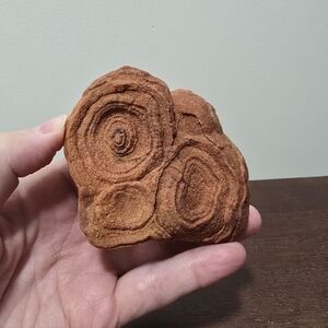 Stromatolite Fossil Crystal Specimen